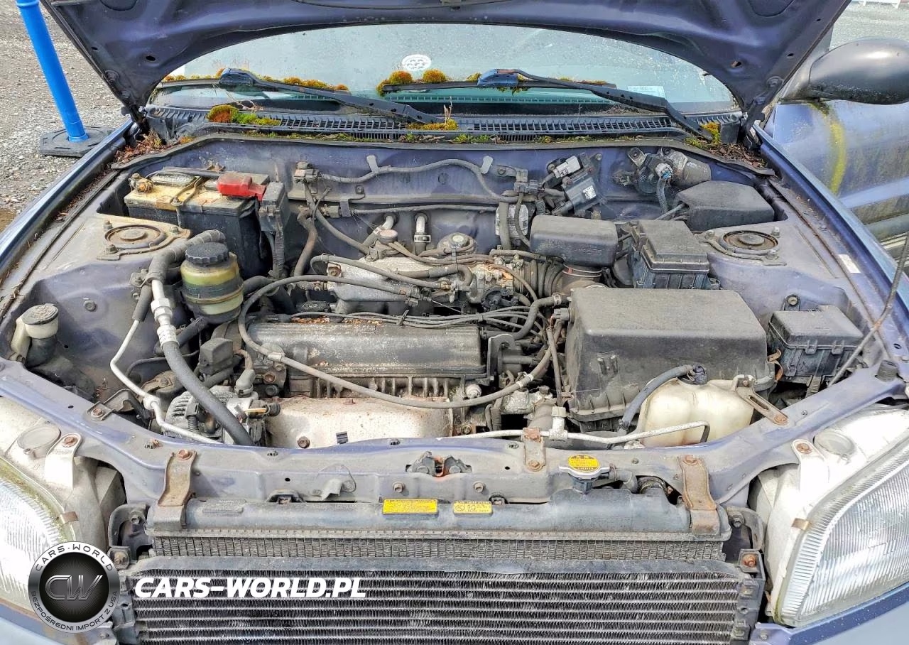 1997 Toyota Rav4 Base VIN:JT3HP10V8V0130362 - 11