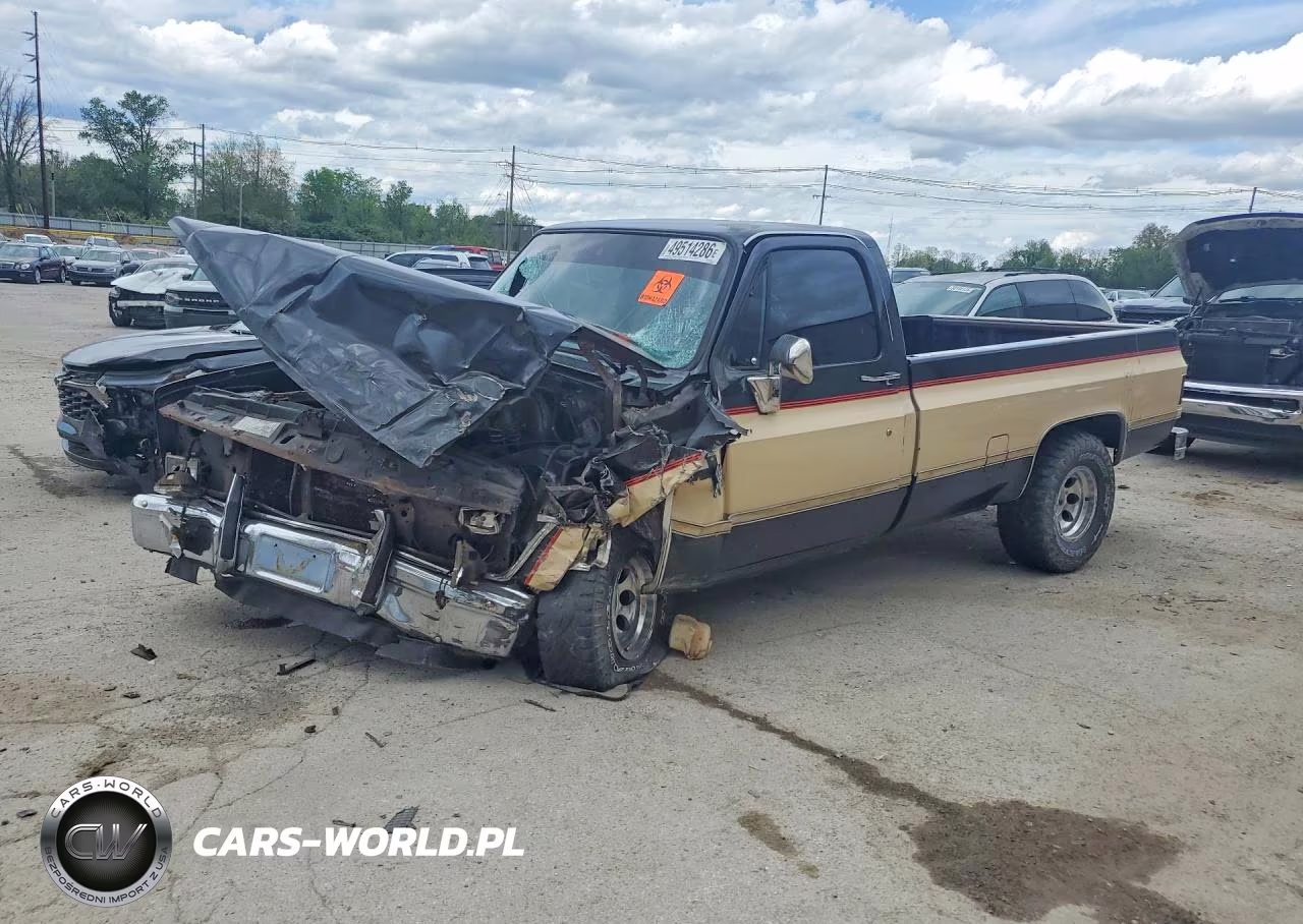 1984 Chevrolet C10 Fleetside W-Long