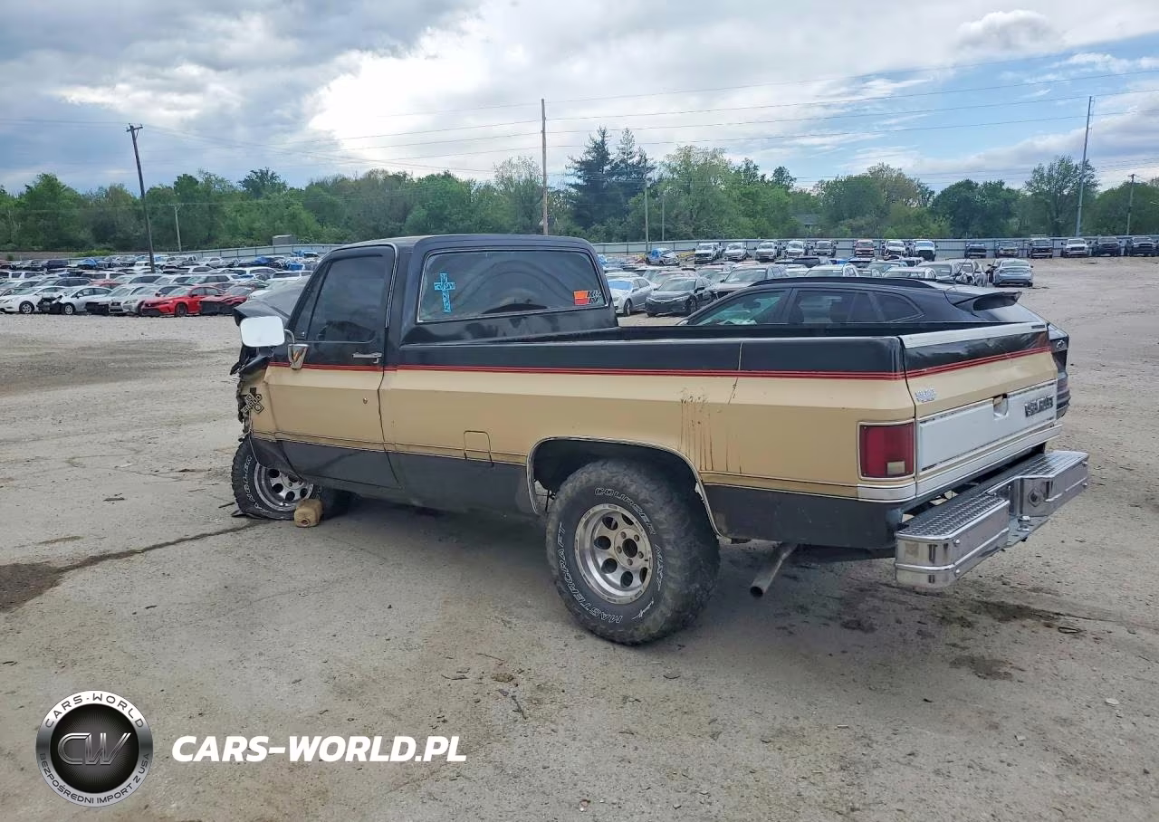 1984 Chevrolet C10 Fleetside W-Long VIN:2GCDC14H9E1177785 - 2