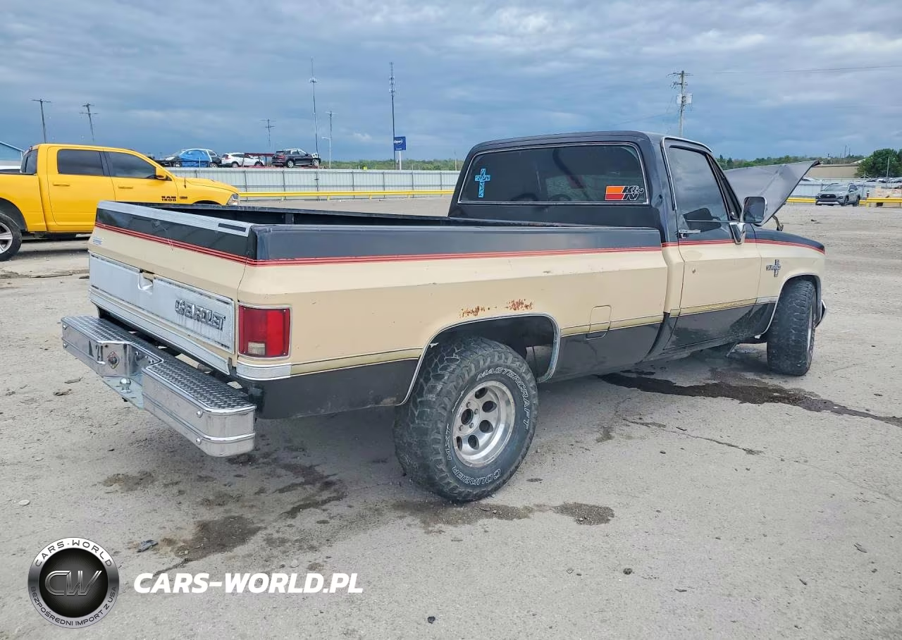1984 Chevrolet C10 Fleetside W-Long VIN:2GCDC14H9E1177785 - 3