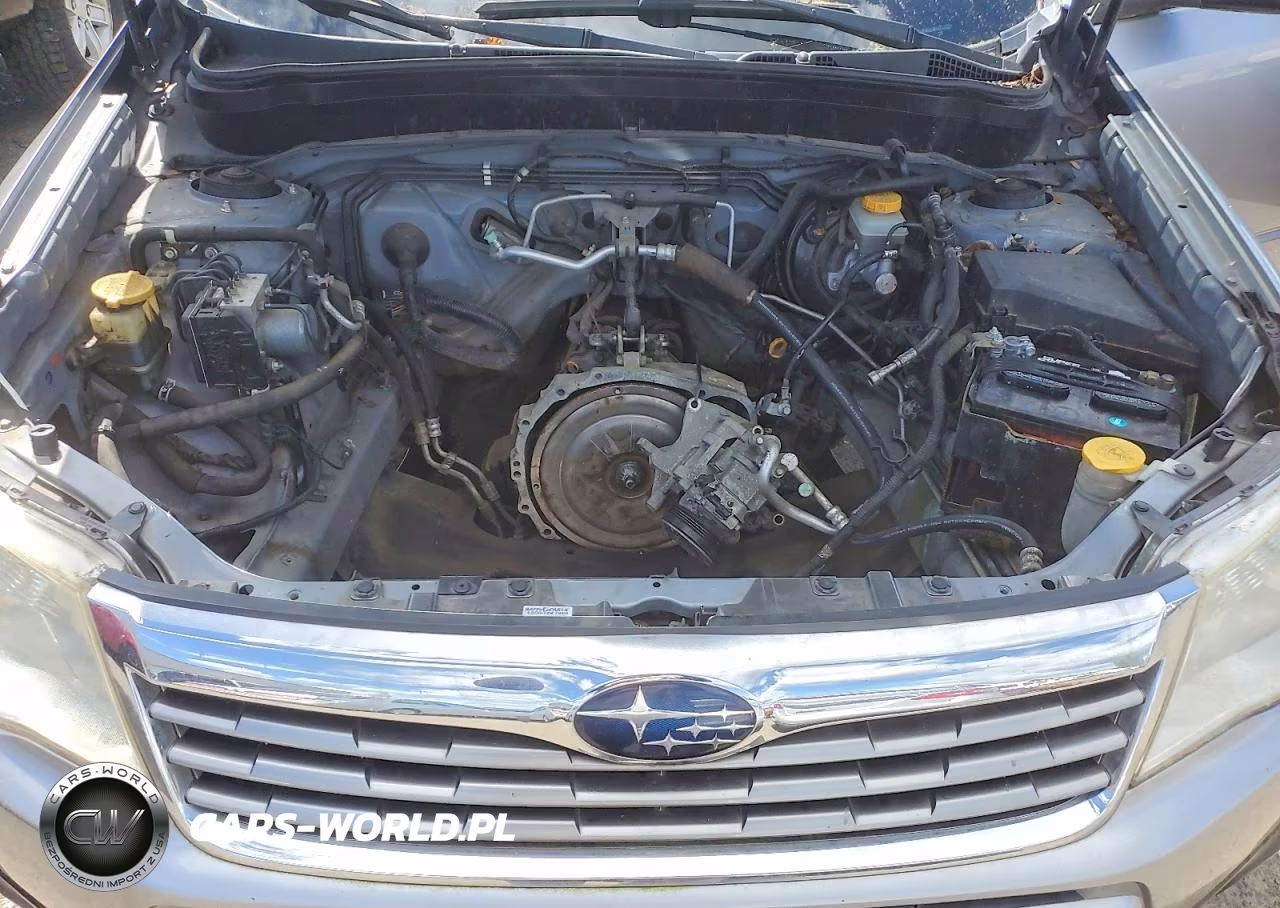 2010 Subaru Forester 2.5X Premium VIN:JF2SH6CC0AH904302 - 11