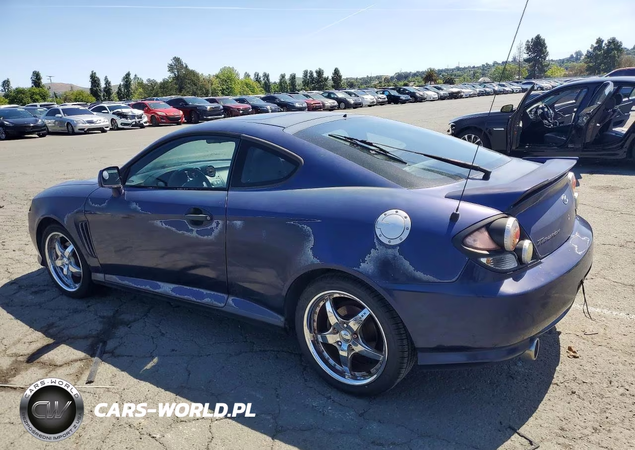 2003 Hyundai Tiburon Gt VIN:KMHHN65F03U017880 - 2