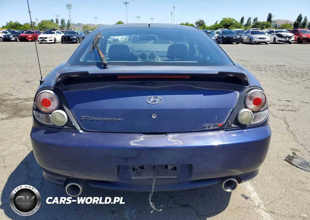 2003 Hyundai Tiburon Gt VIN:KMHHN65F03U017880 - 6