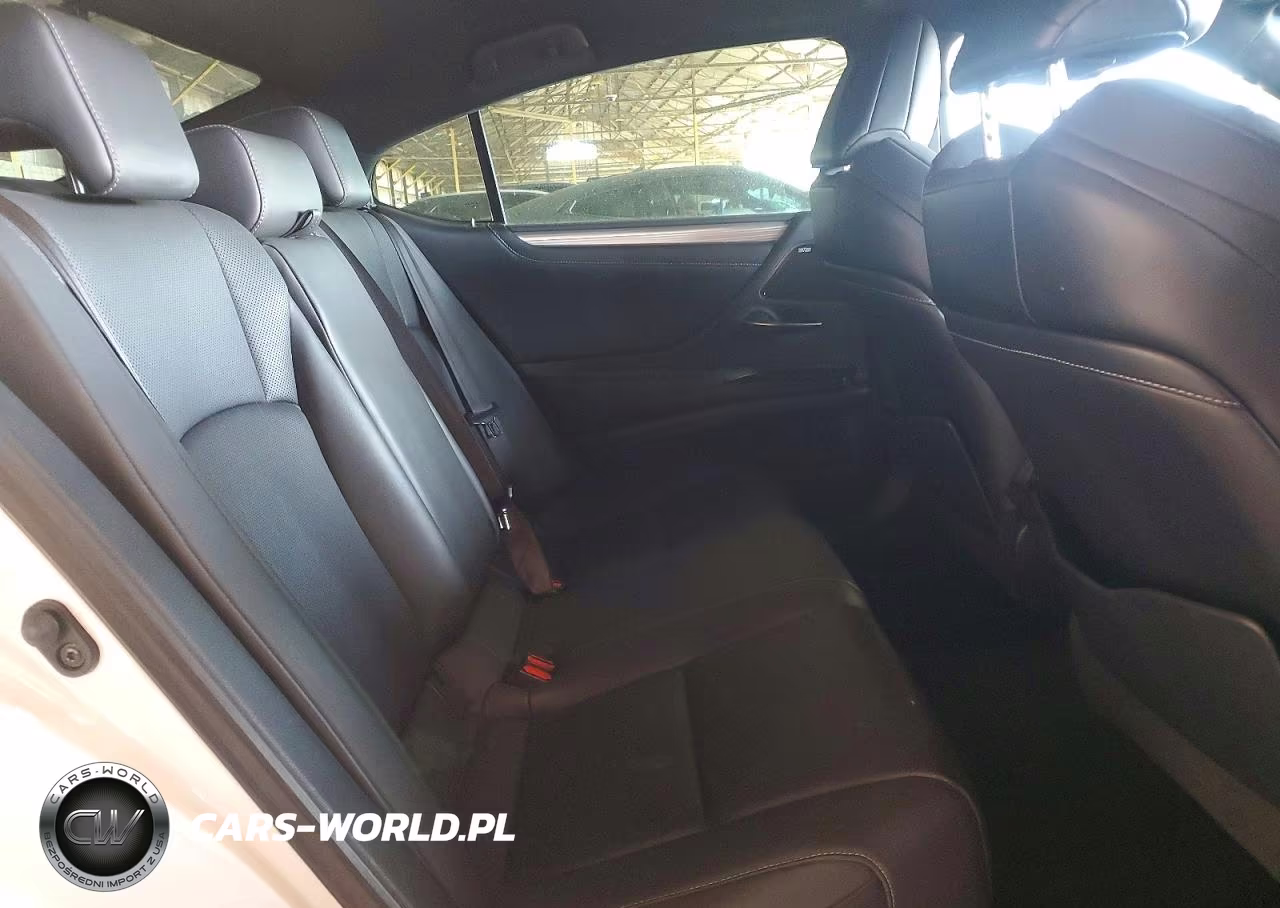 2020 Lexus Es 350 F Sport VIN:58AGZ1B16LU075920 - 10