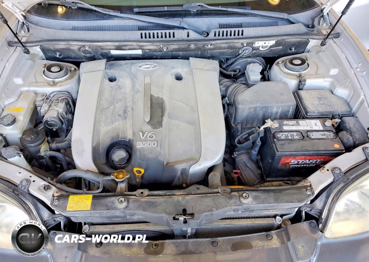 2003 Hyundai Santa Fe Gls VIN:KM8SC13E33U534115 - 11