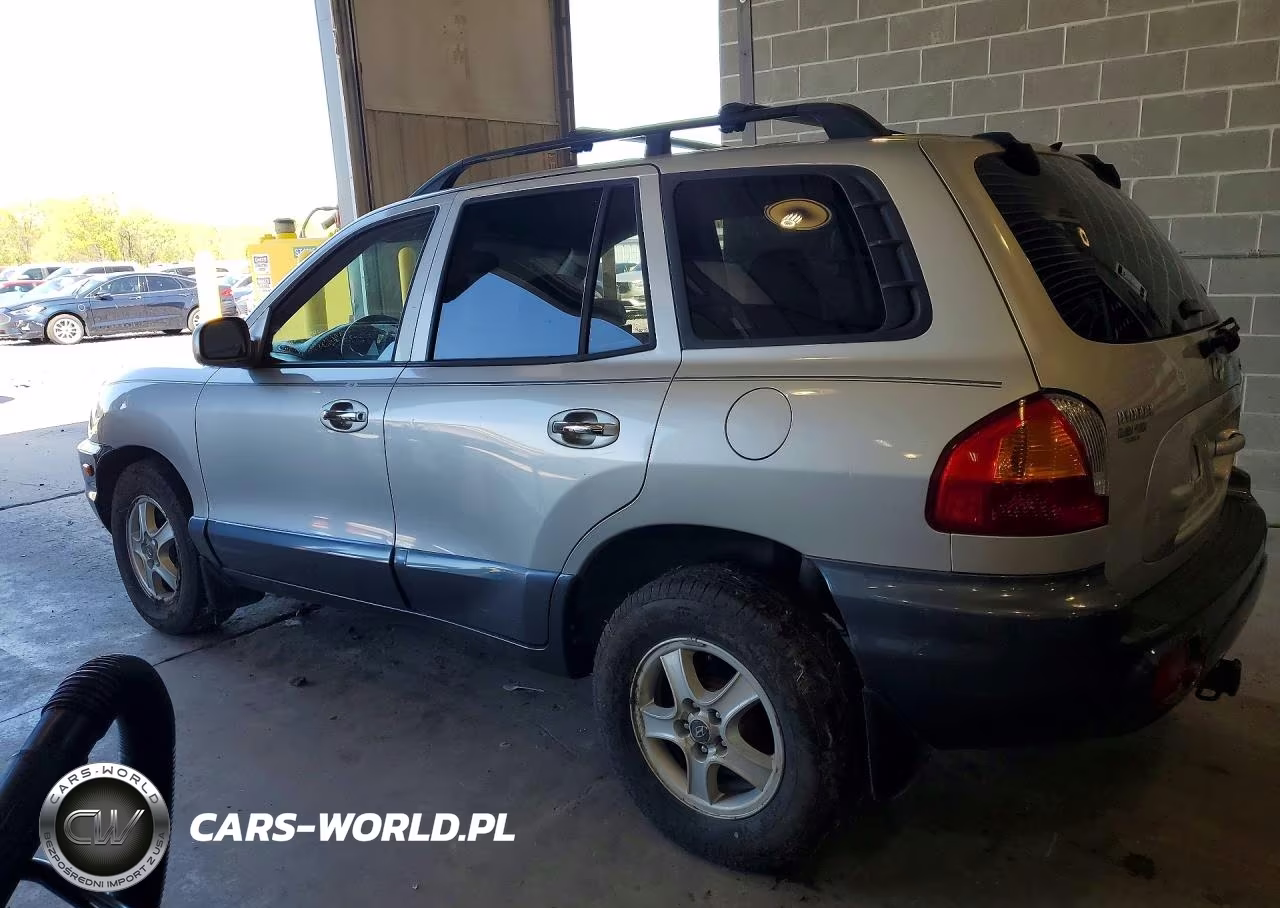 2003 Hyundai Santa Fe Gls VIN:KM8SC13E33U534115 - 2