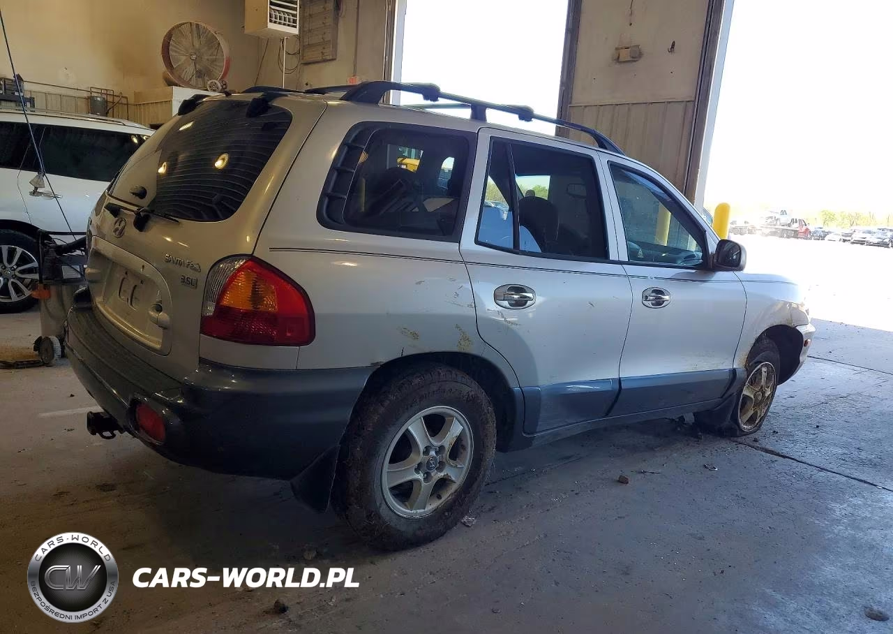 2003 Hyundai Santa Fe Gls VIN:KM8SC13E33U534115 - 3