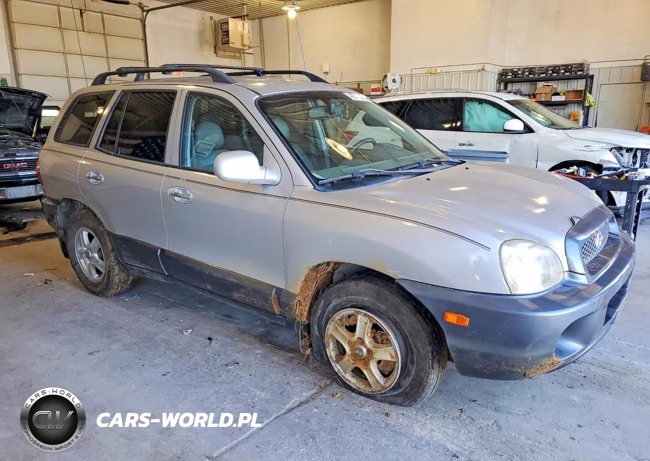 2003 Hyundai Santa Fe Gls VIN:KM8SC13E33U534115 - 4
