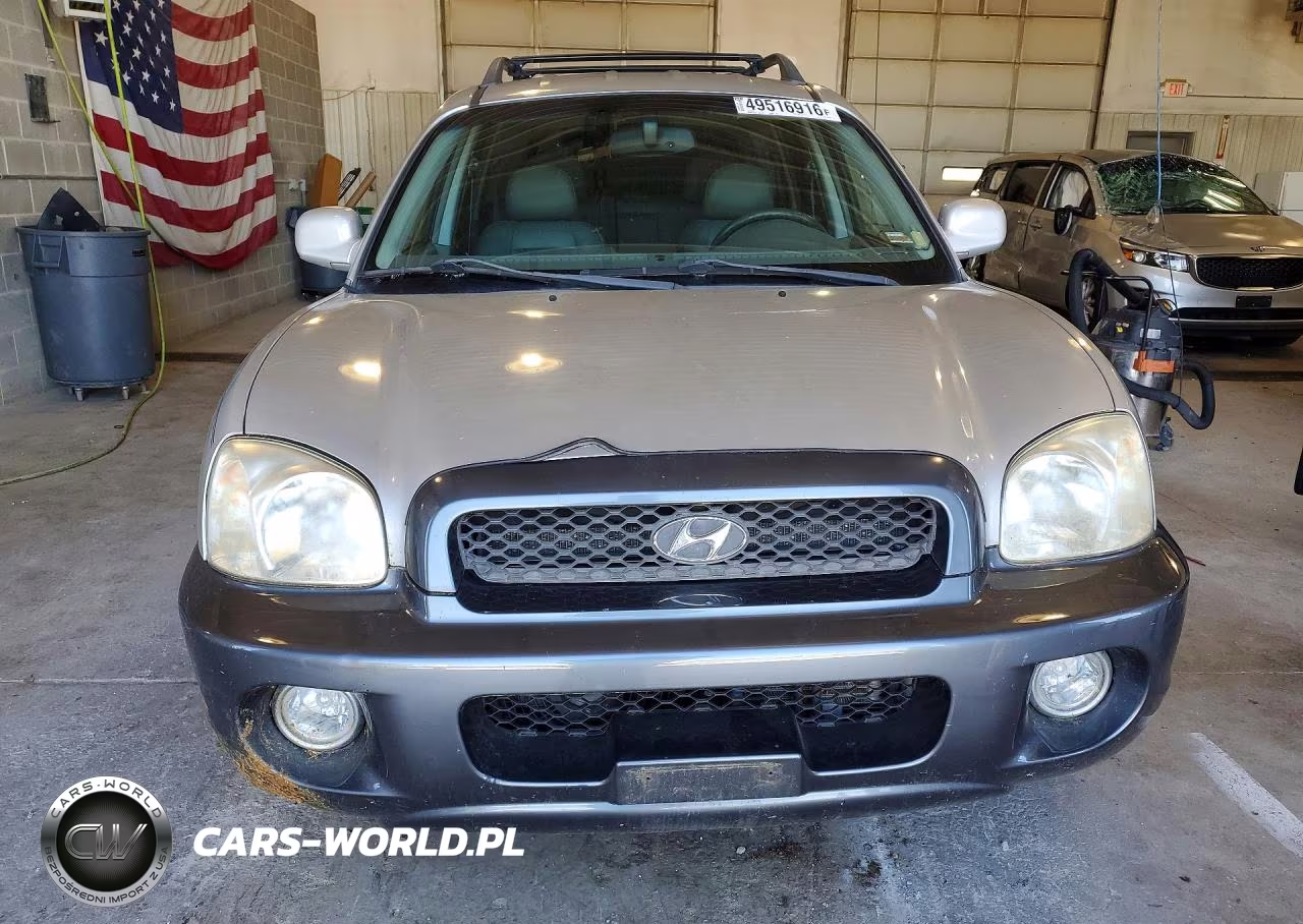 2003 Hyundai Santa Fe Gls VIN:KM8SC13E33U534115 - 5