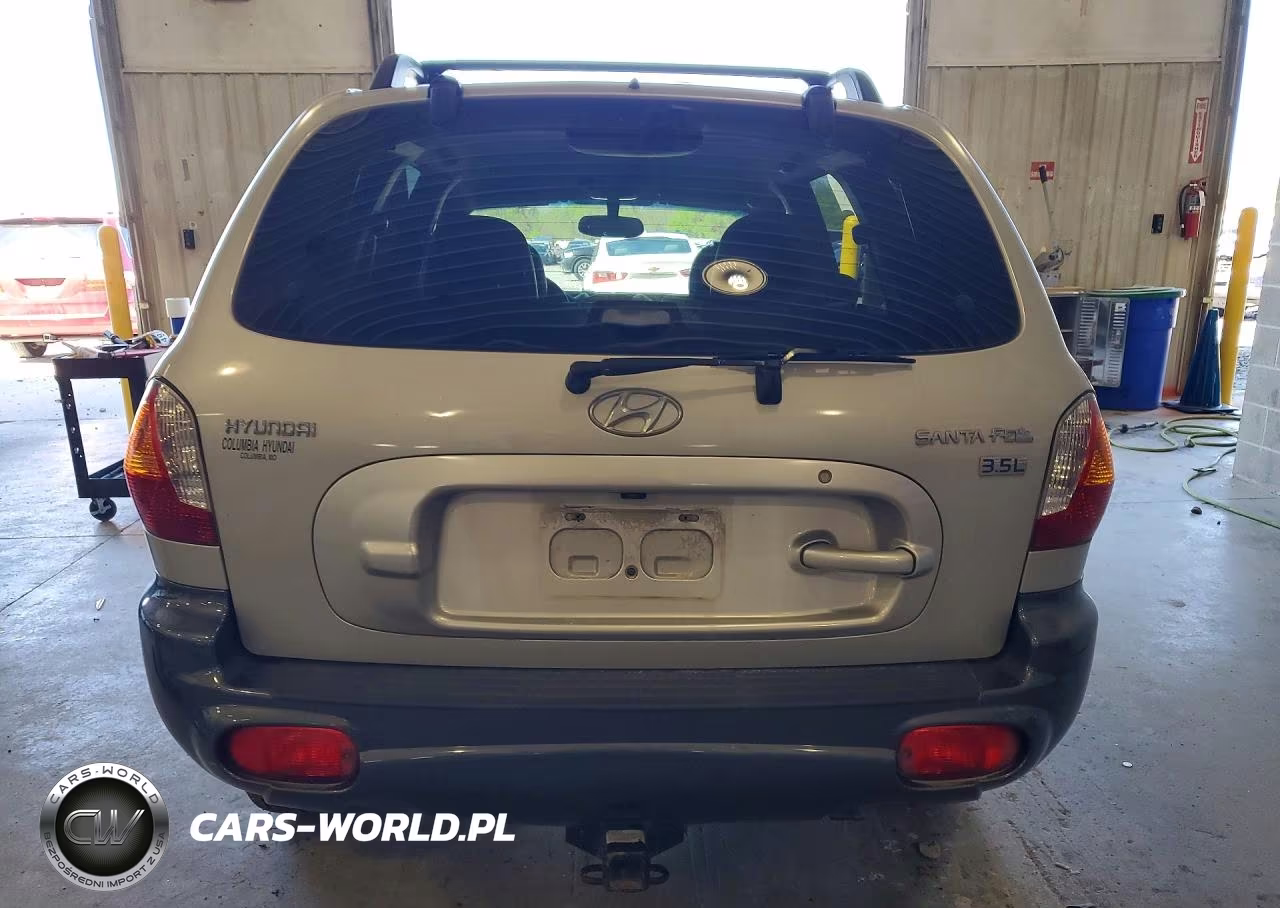 2003 Hyundai Santa Fe Gls VIN:KM8SC13E33U534115 - 6