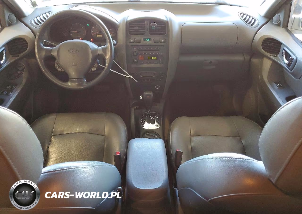 2003 Hyundai Santa Fe Gls VIN:KM8SC13E33U534115 - 8
