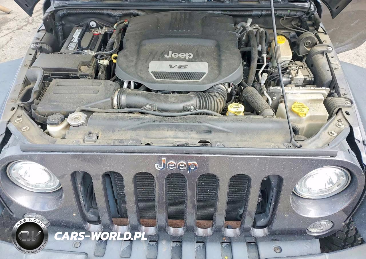 2017 Jeep Wrangler Unlimited Sport VIN:1C4BJWDG6HL622208 - 11