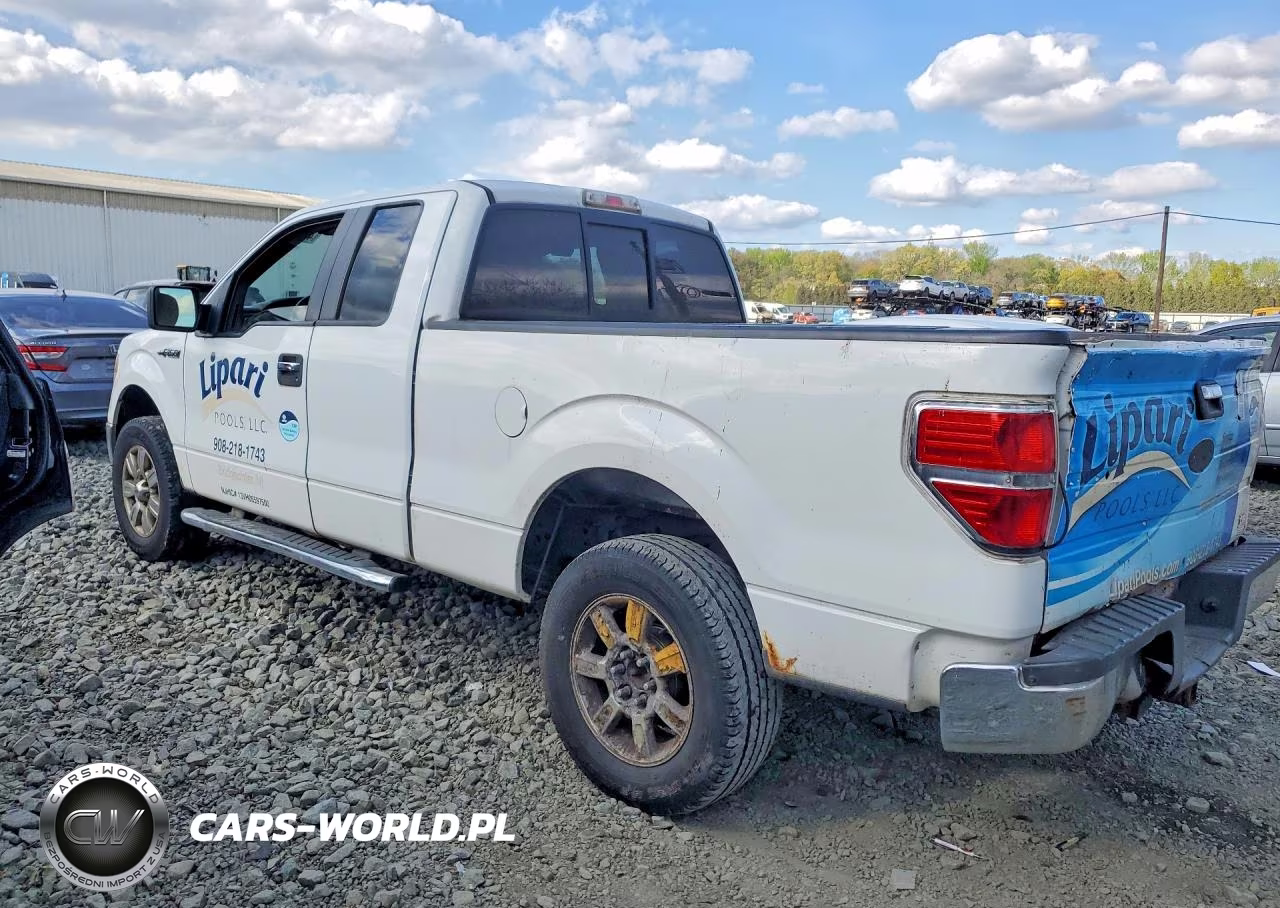 2010 Ford F150 Super Cab VIN:1FTFX1EV1AFD60084 - 2