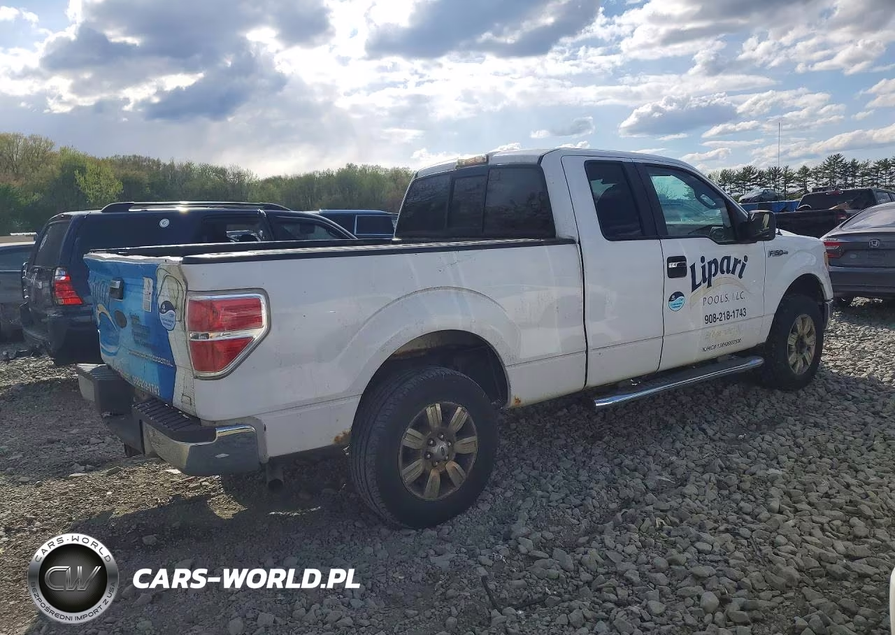 2010 Ford F150 Super Cab VIN:1FTFX1EV1AFD60084 - 3