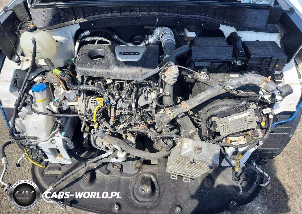 2018 Hyundai Tucson Value VIN:KM8J3CA27JU755665 - 12