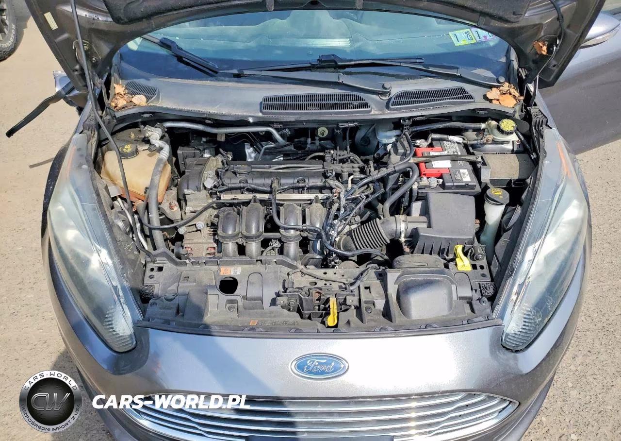 2014 Ford Fiesta Se VIN:3FADP4EJ5EM233968 - 11