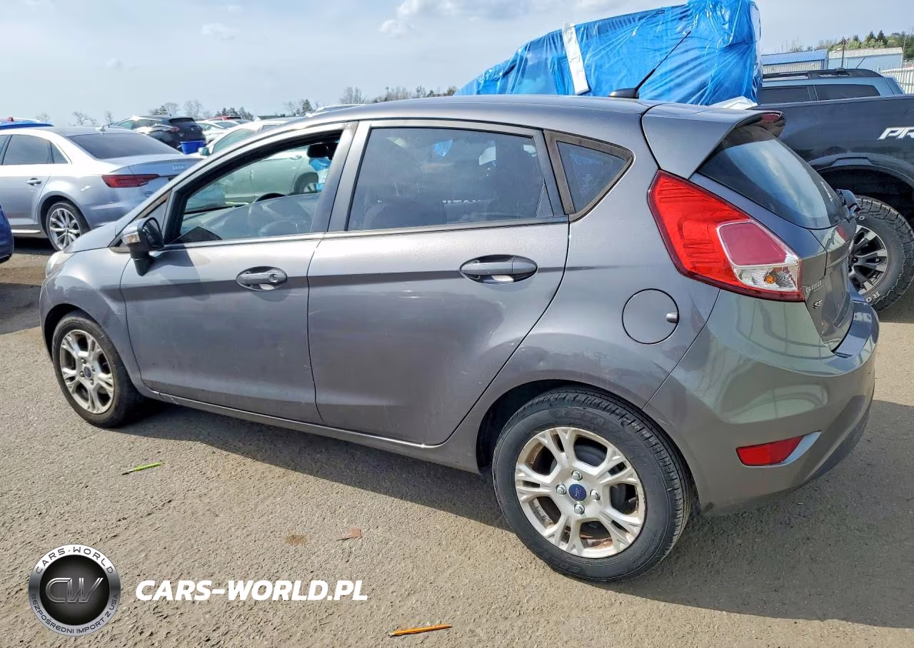 2014 Ford Fiesta Se VIN:3FADP4EJ5EM233968 - 2