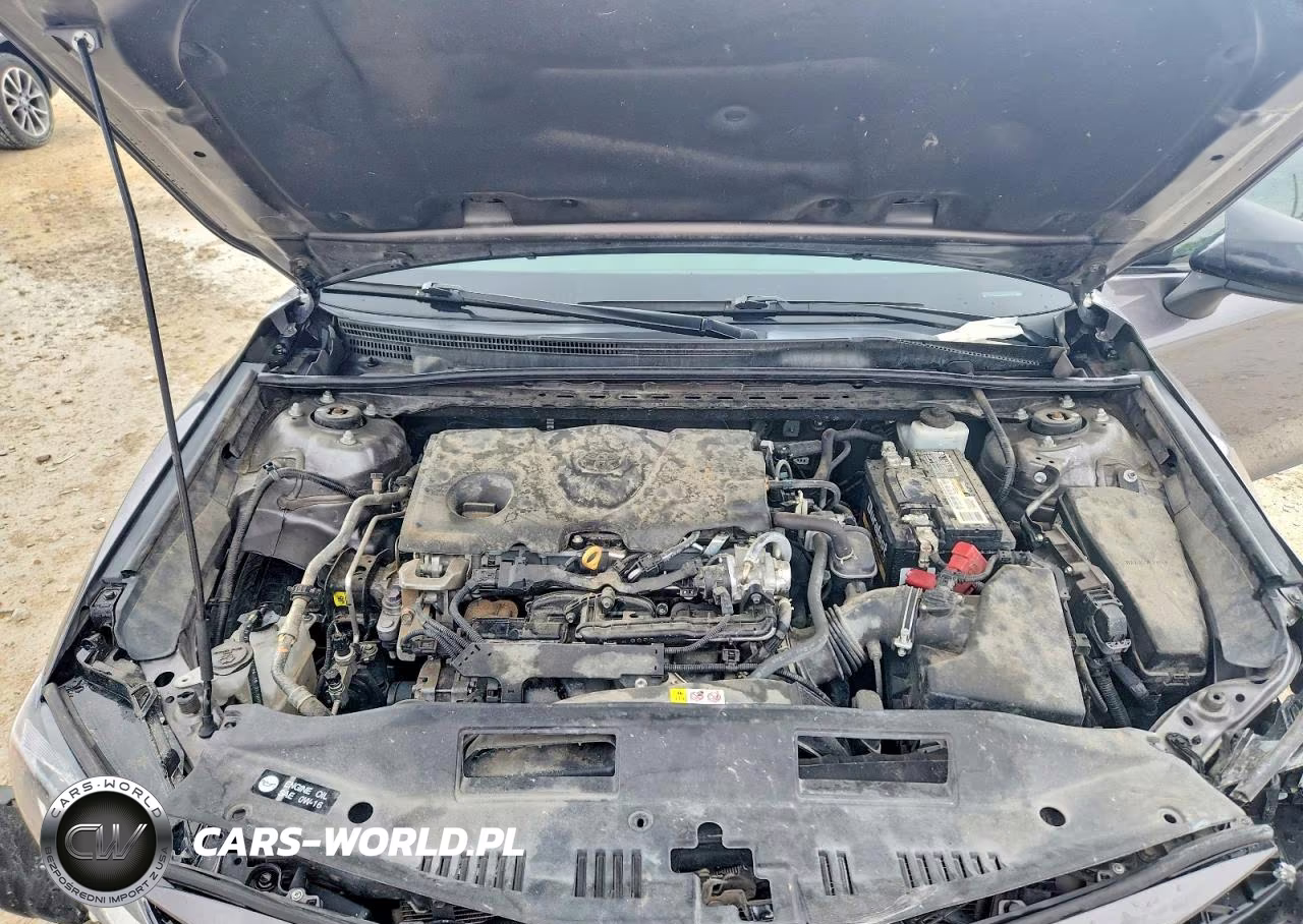 2023 Toyota Camry VIN:4T1C11AKXPU735809 - 11