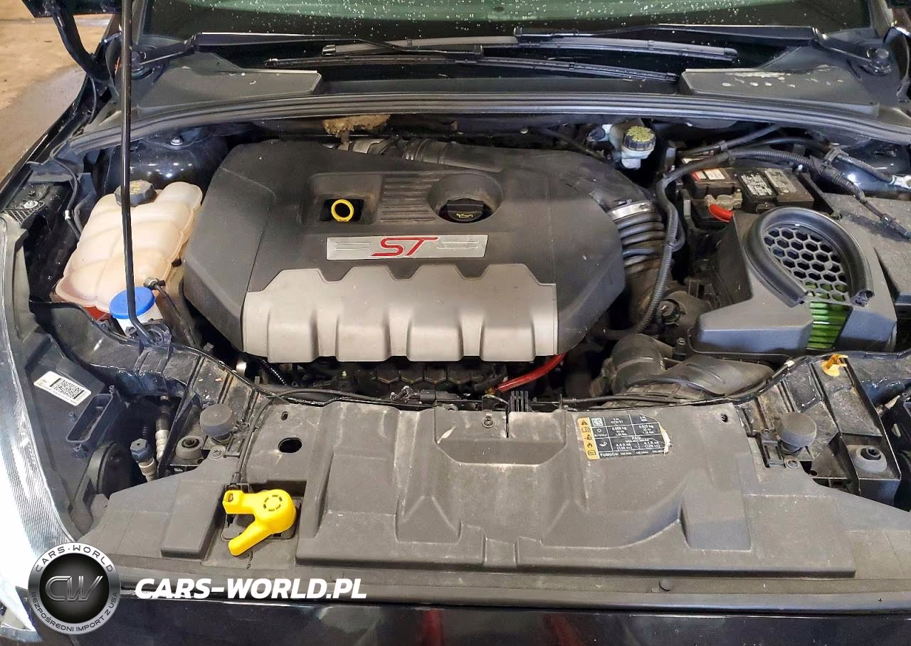 2018 Ford Focus St VIN:1FADP3L91JL253651 - 11