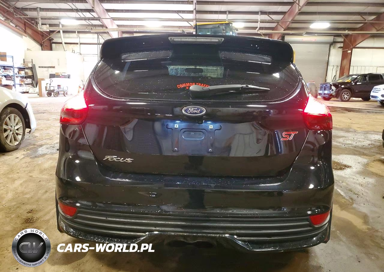 2018 Ford Focus St VIN:1FADP3L91JL253651 - 6