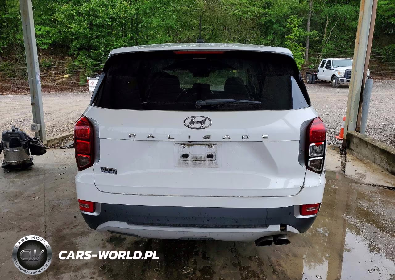 2021 Hyundai Palisade Se VIN:KM8R14HEXMU214757 - 6