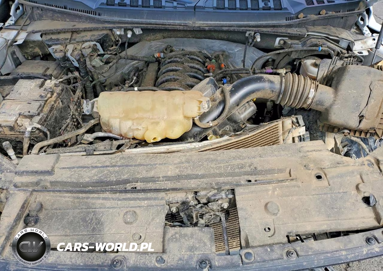 2020 Ford 150 Pu Sci VIN:1FTFW1E5XLKD28893 - 11
