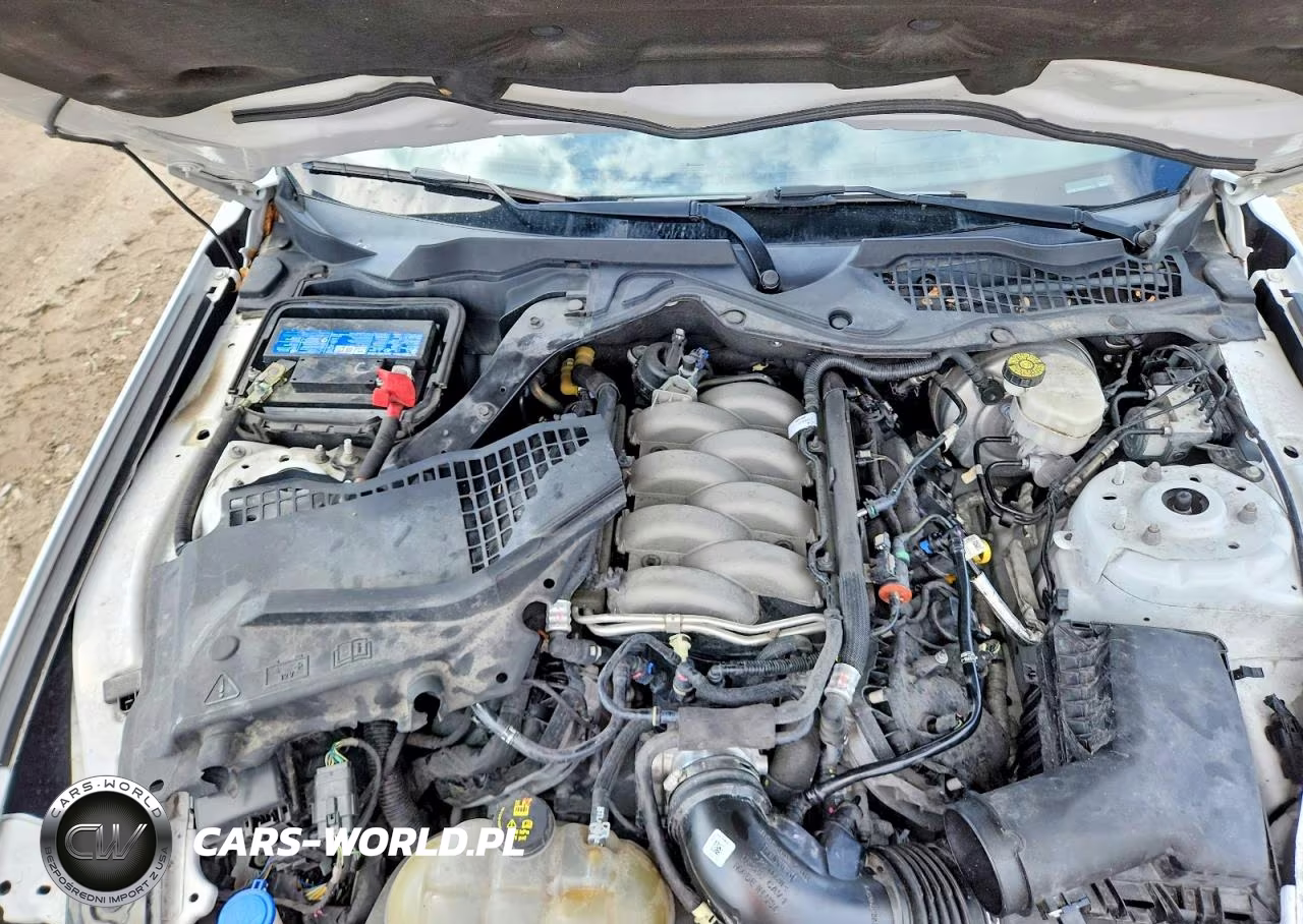 2020 Ford Mustang Gt VIN:1FA6P8CF4L5160223 - 11