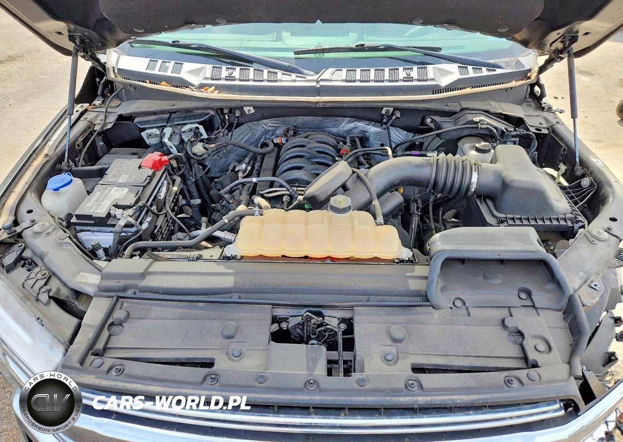 2018 Ford F150 Supercrew VIN:1FTEW1E55JKD84264 - 11
