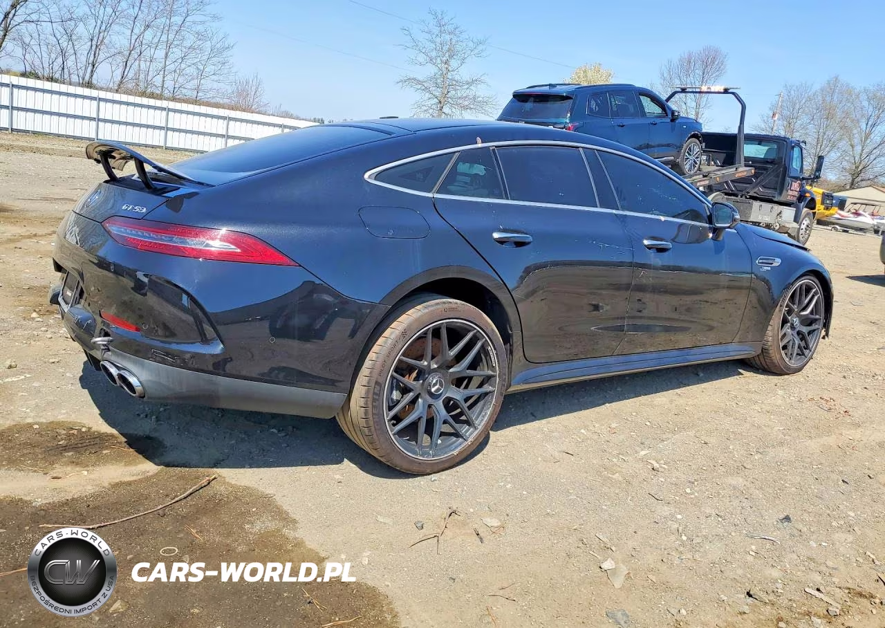 2019 Mercedes-Benz Amg Gt 53 VIN:WDD7X6BB5KA008593 - 3