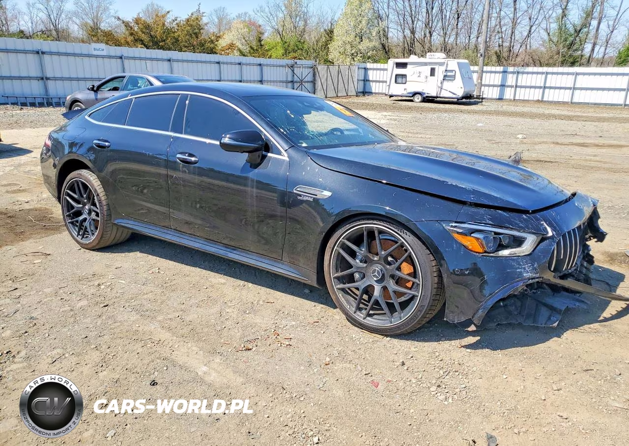 2019 Mercedes-Benz Amg Gt 53 VIN:WDD7X6BB5KA008593 - 4