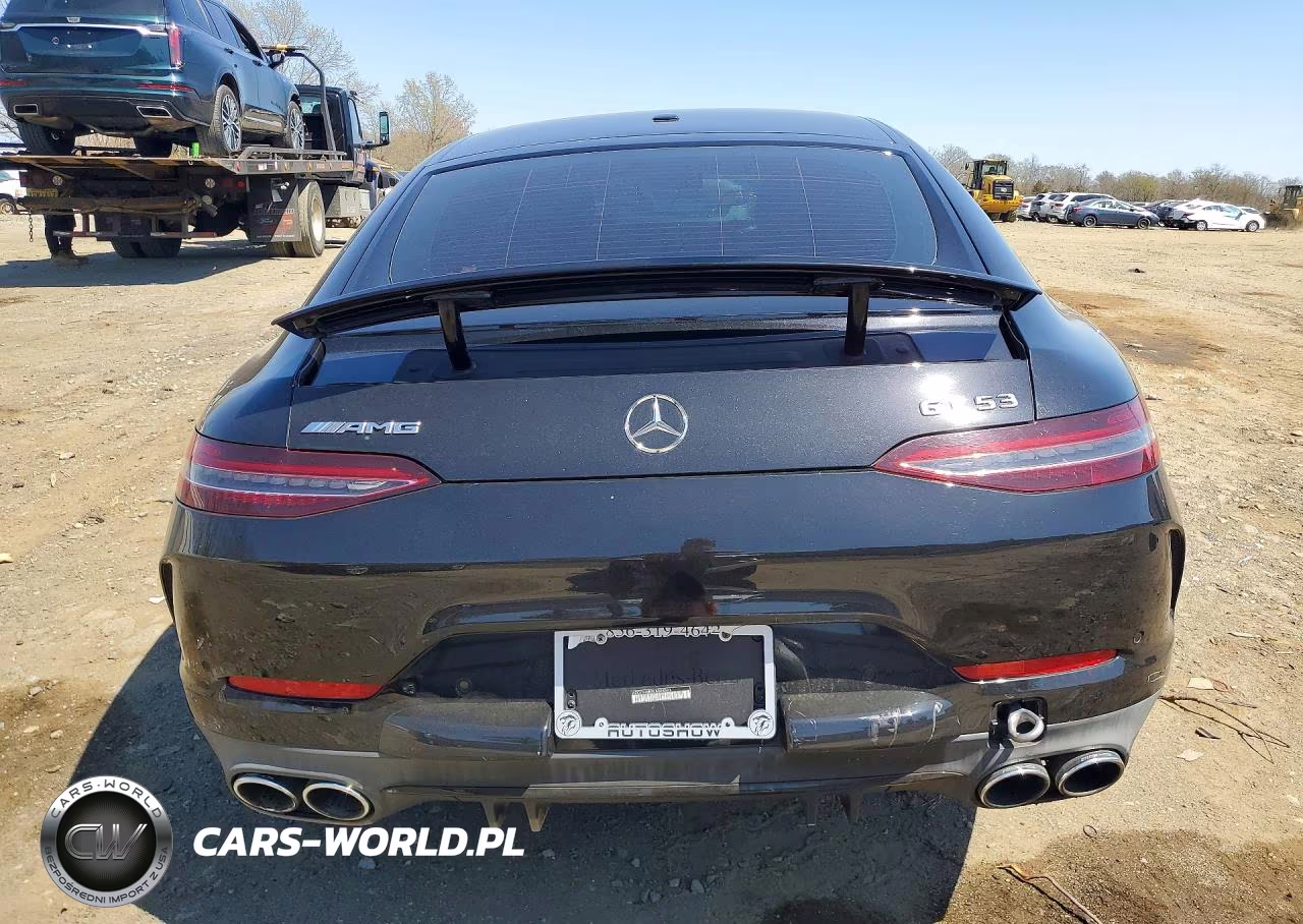 2019 Mercedes-Benz Amg Gt 53 VIN:WDD7X6BB5KA008593 - 6