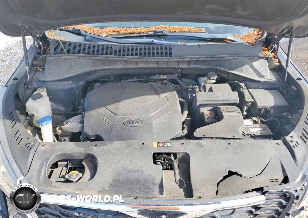 2019 Kia Sorento Lx V6 VIN:5XYPGDA53KG443817 - 12