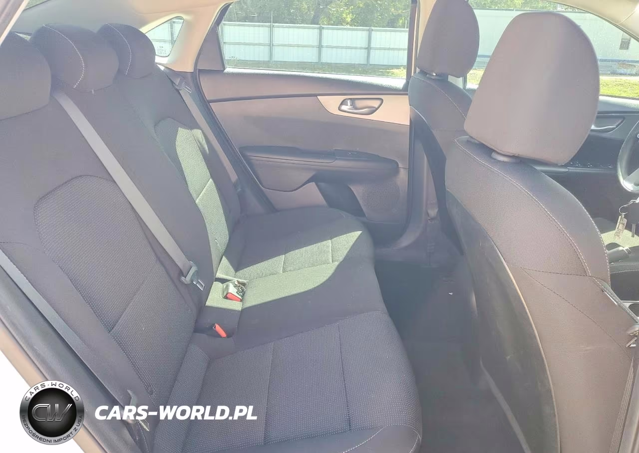 2019 Kia Forte Fe VIN:3KPF24AD7KE010029 - 10
