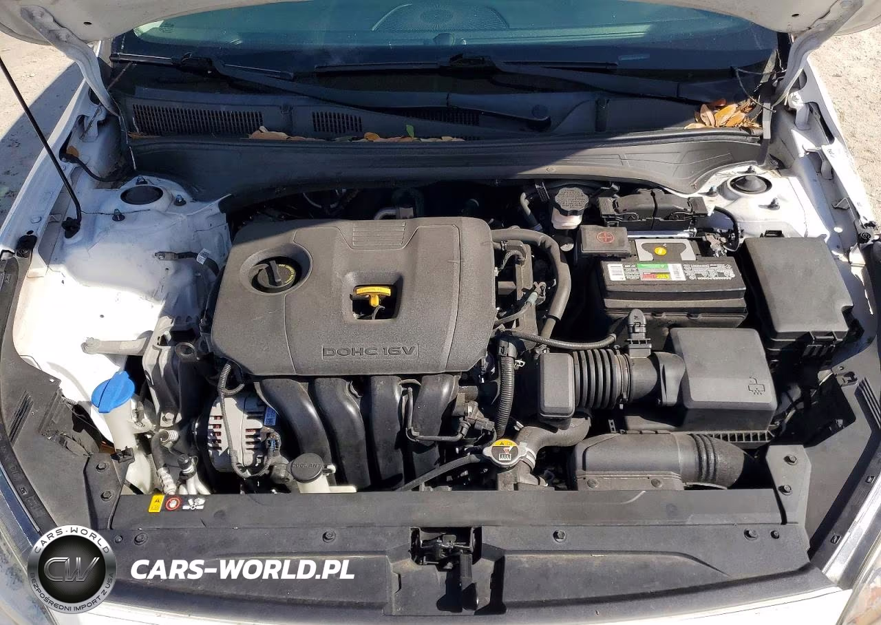 2019 Kia Forte Fe VIN:3KPF24AD7KE010029 - 11