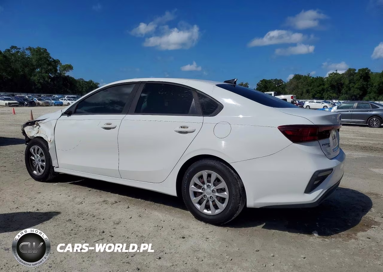 2019 Kia Forte Fe VIN:3KPF24AD7KE010029 - 2