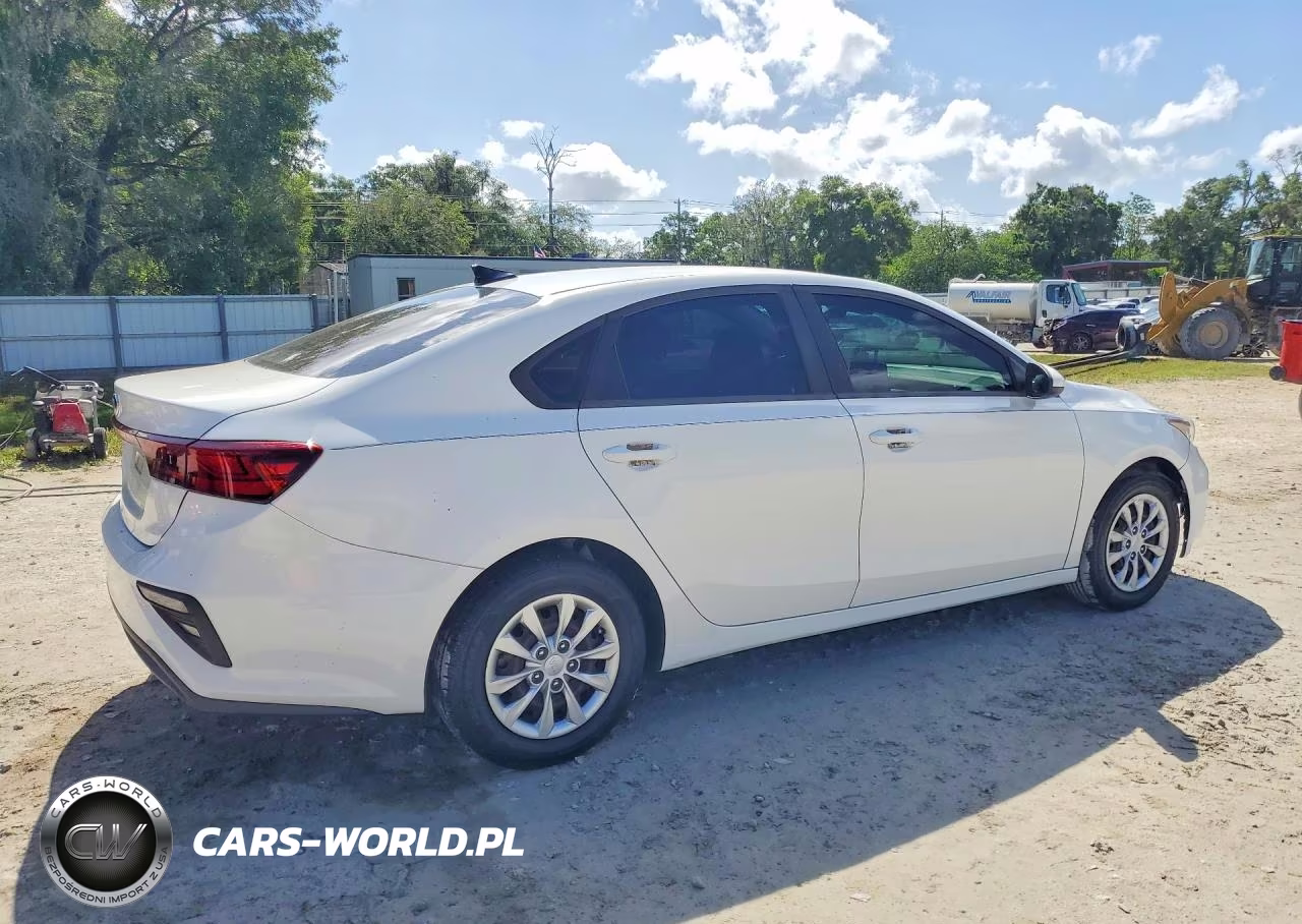 2019 Kia Forte Fe VIN:3KPF24AD7KE010029 - 3