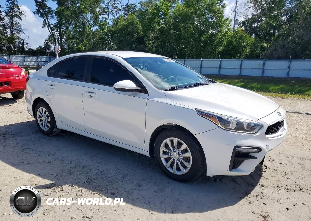 2019 Kia Forte Fe VIN:3KPF24AD7KE010029 - 4