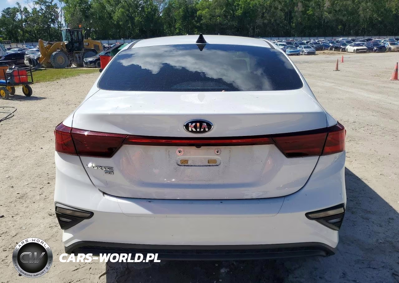 2019 Kia Forte Fe VIN:3KPF24AD7KE010029 - 6
