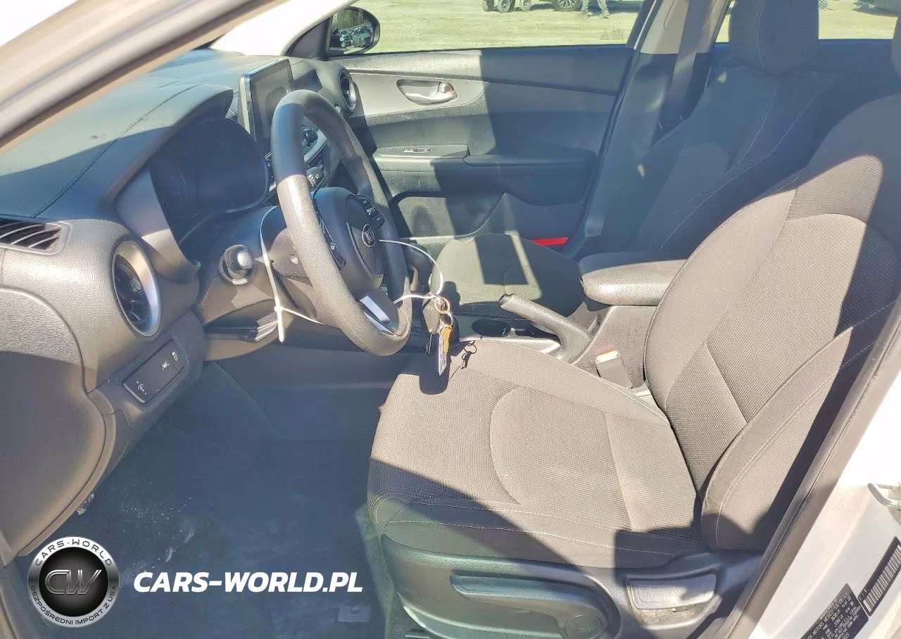 2019 Kia Forte Fe VIN:3KPF24AD7KE010029 - 7