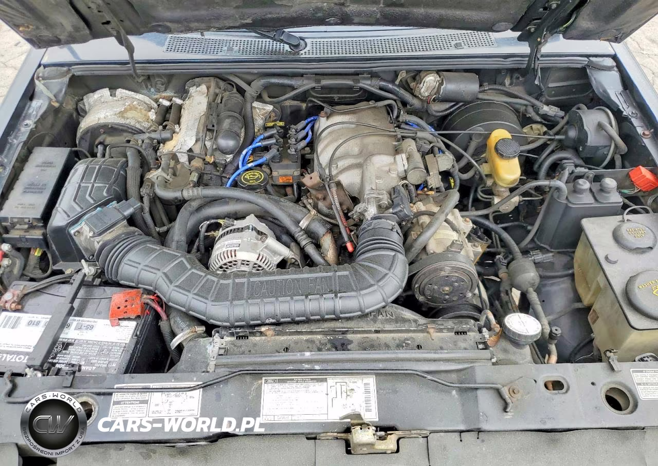 1994 Ford Explorer VIN:1FMCU22X5RUB23365 - 12