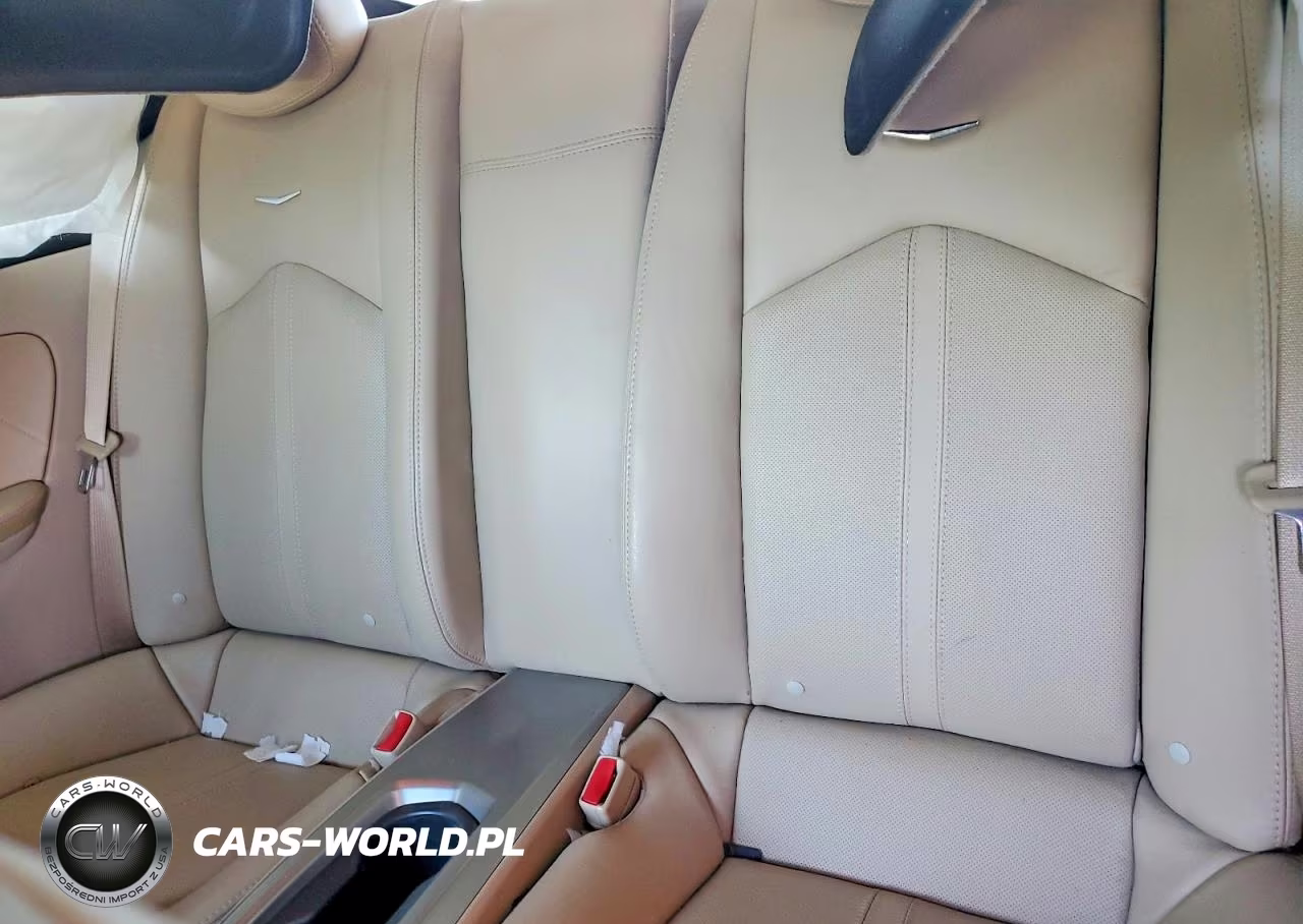2011 Cadillac Cts Premium Collection VIN:1G6DP1ED1B0119244 - 10