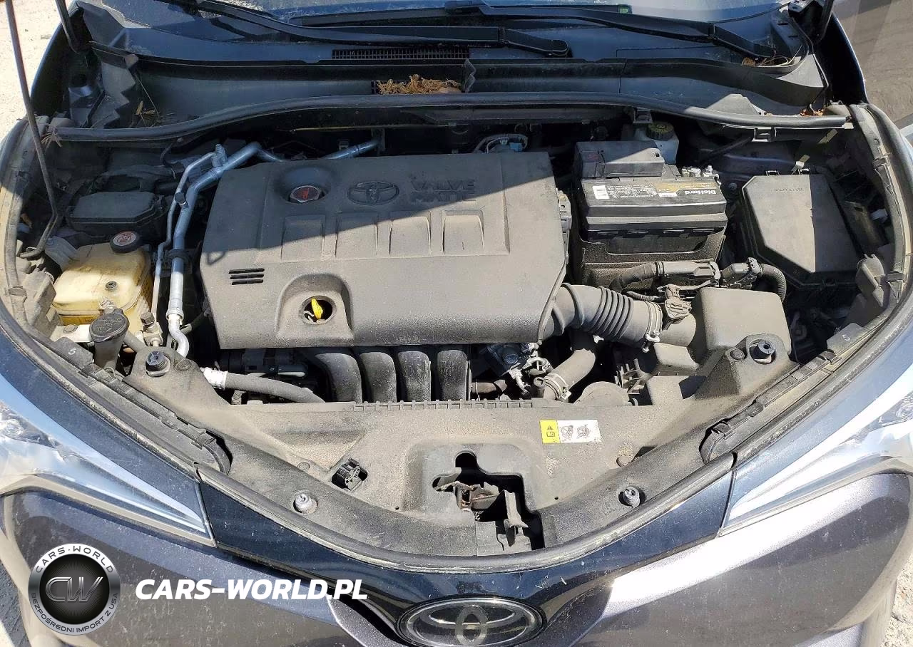2019 Toyota C-Hr Xle VIN:JTNKHMBXXK1019702 - 12