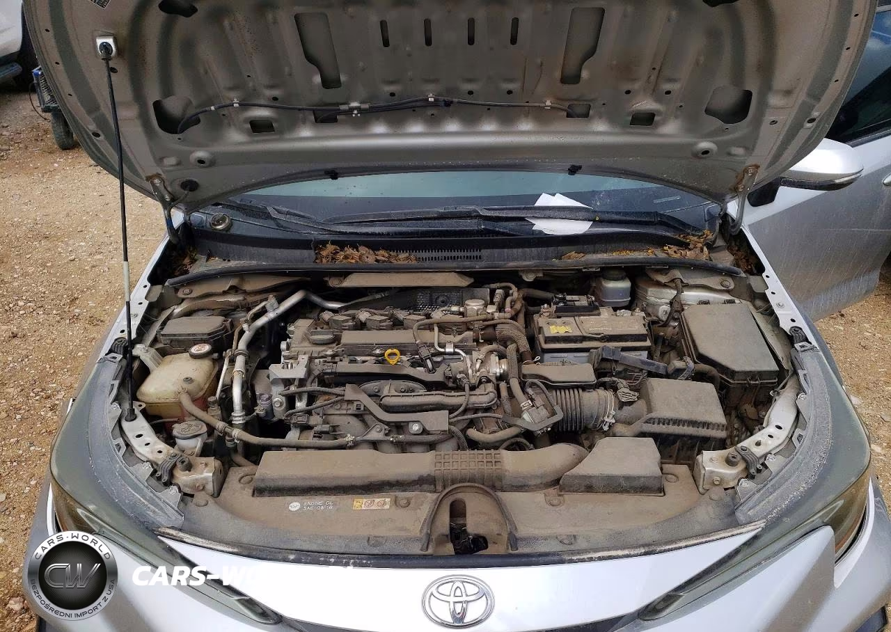 2020 Toyota Corolla Se VIN:JTDS4RCE4LJ024941 - 11