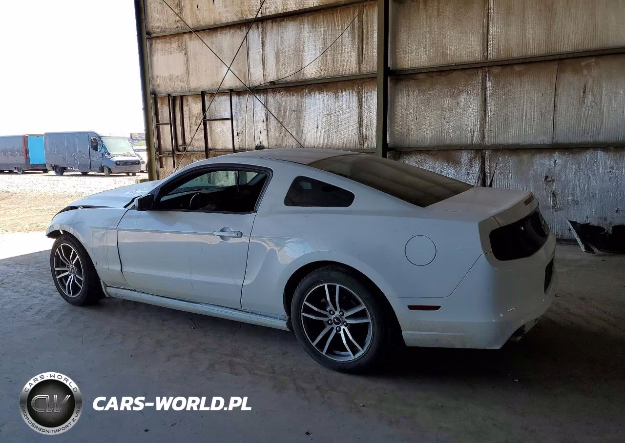 2014 Ford Mustang VIN:1ZVBP8AM5E5327974 - 2