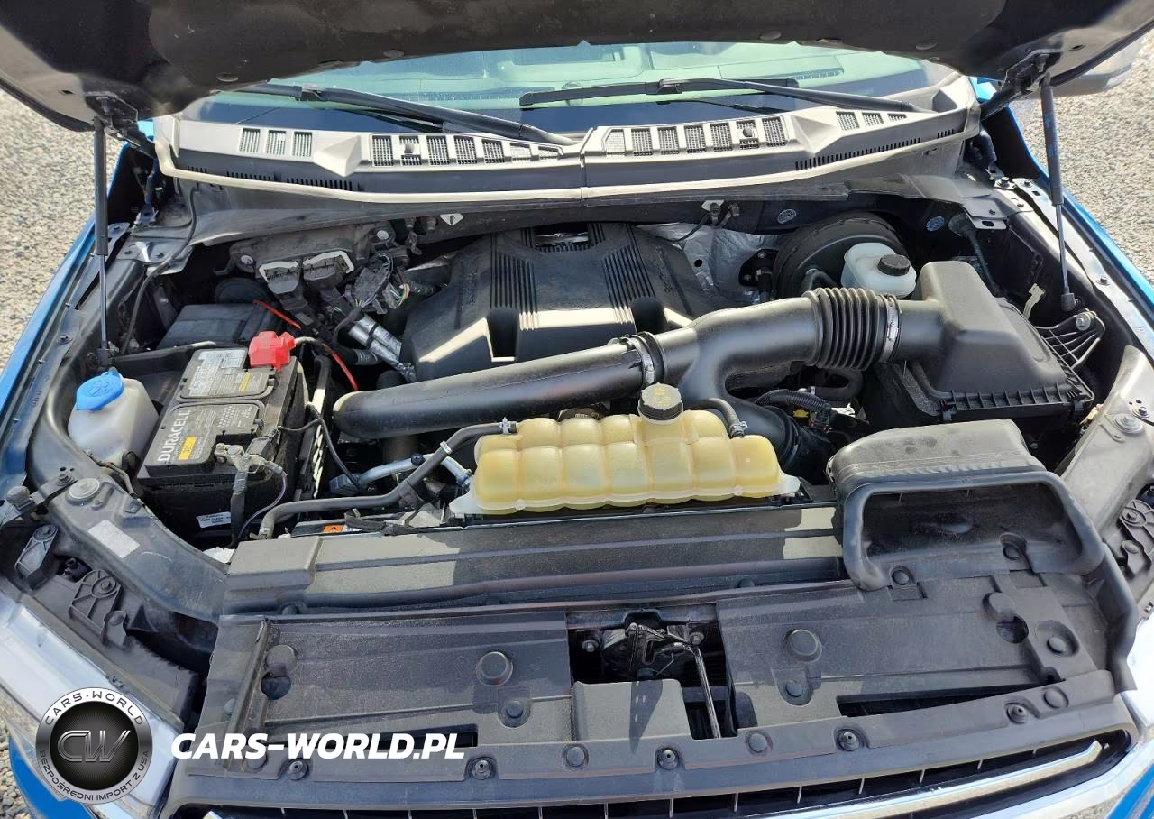 2019 Ford F150 Supercrew VIN:1FTEW1C42KFD09705 - 11