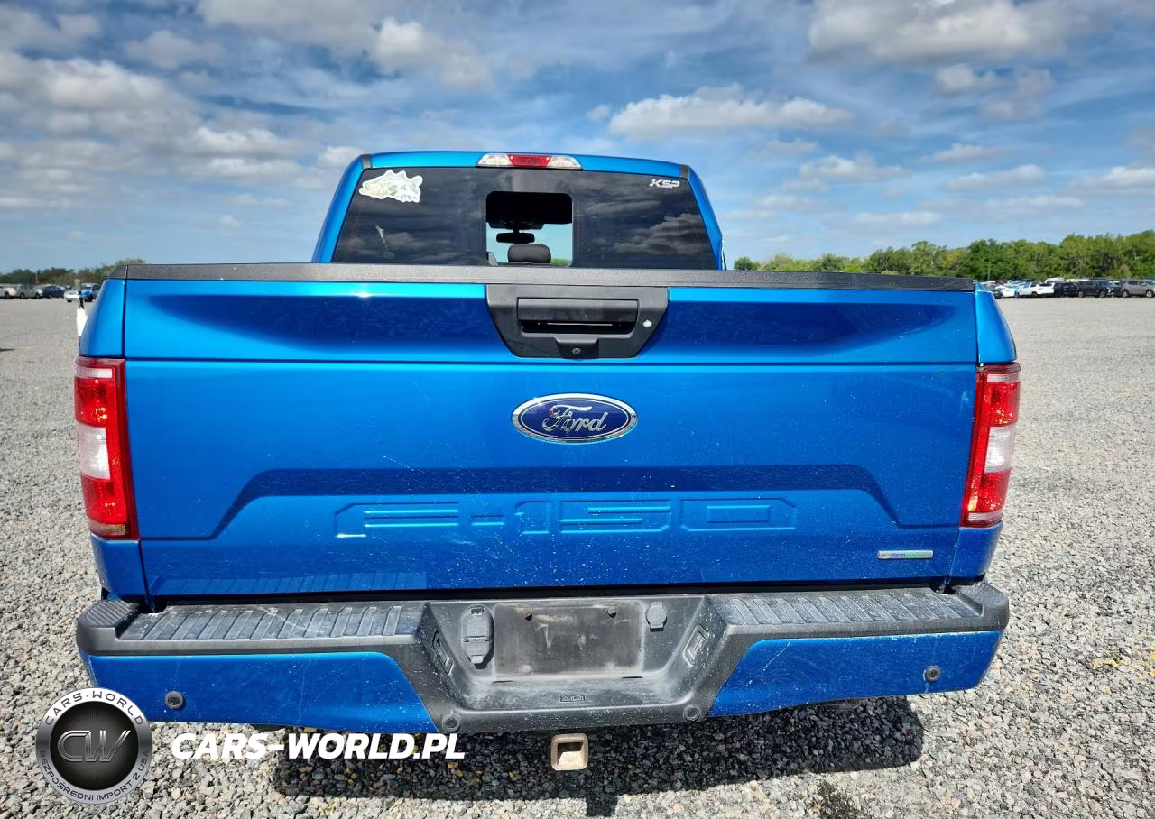 2019 Ford F150 Supercrew VIN:1FTEW1C42KFD09705 - 6