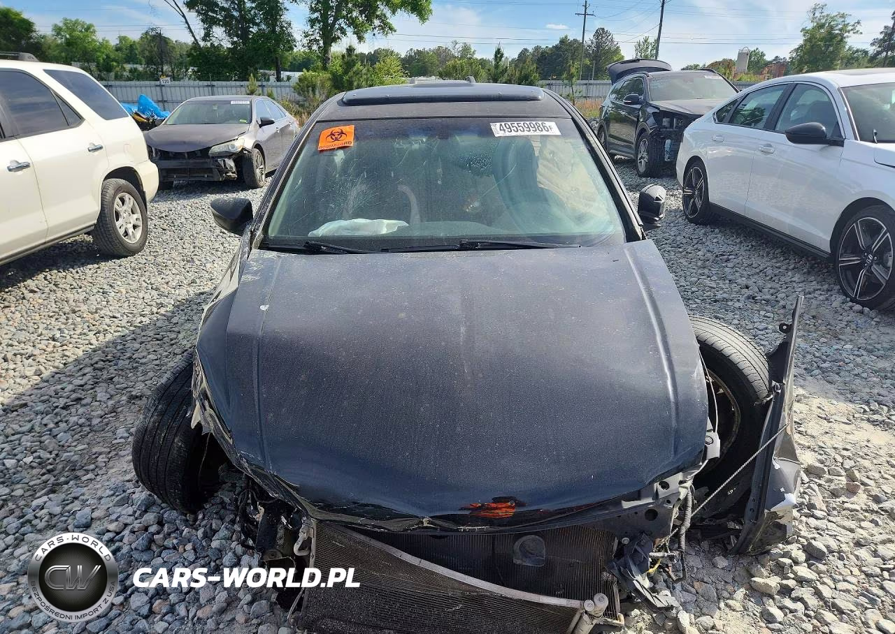 2009 Honda Accord Exl VIN:1HGCP26819A159605 - 5