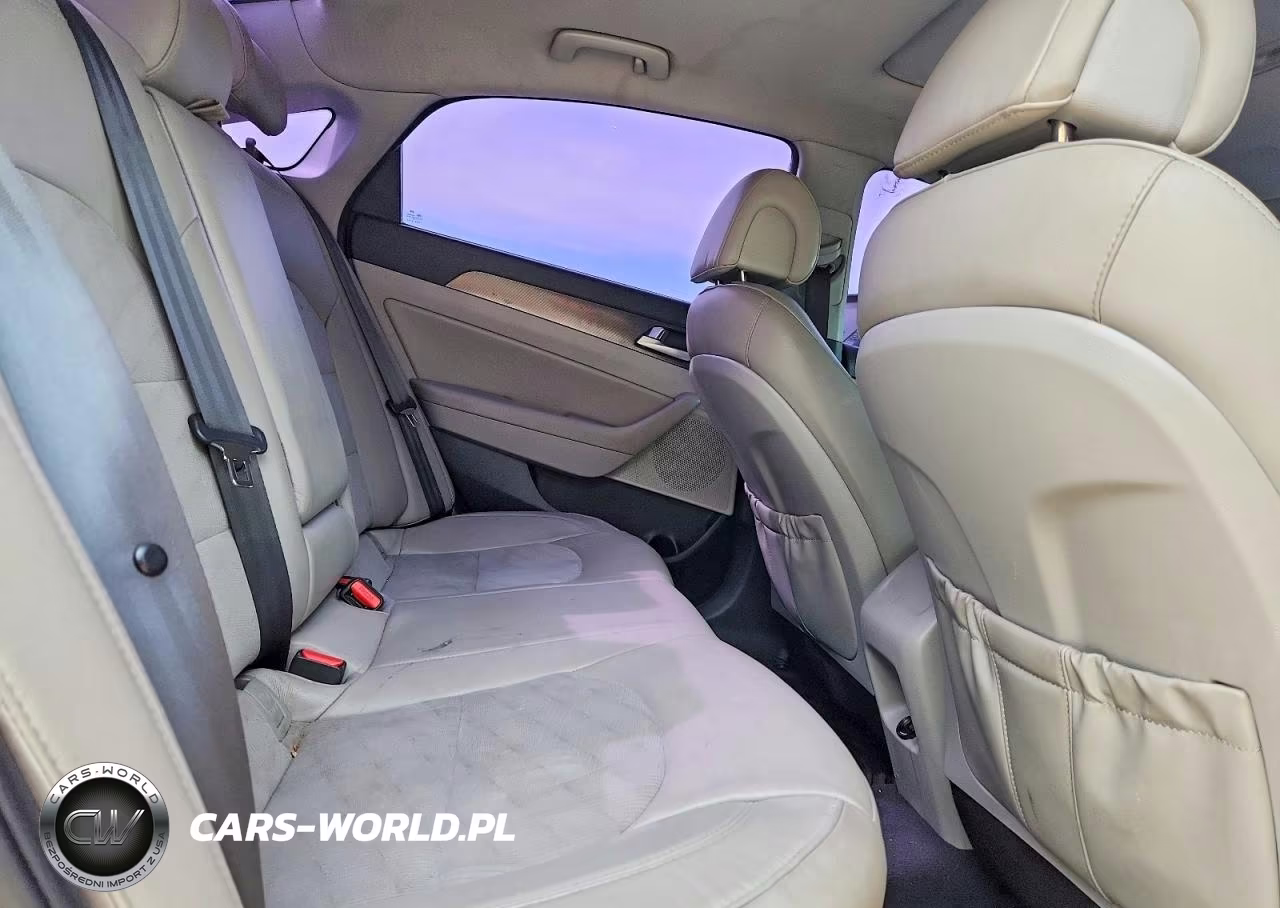 2017 Hyundai Sonata Sport VIN:5NPE34AF3HH581225 - 10
