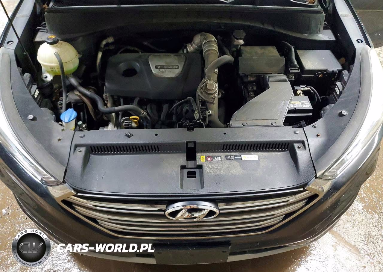 2017 Hyundai Tucson VIN:KM8J3CA29HU339143 - 11