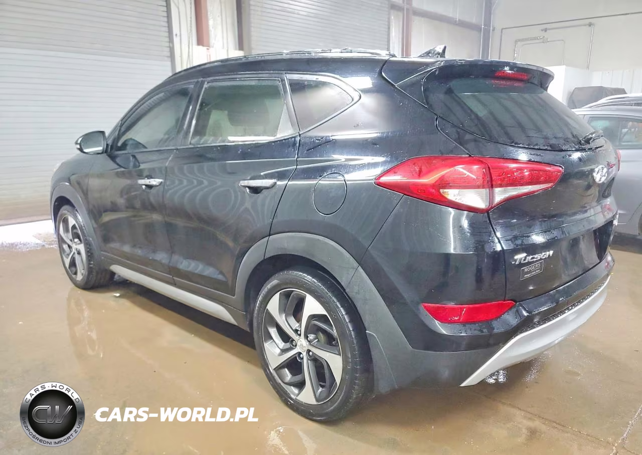2017 Hyundai Tucson VIN:KM8J3CA29HU339143 - 2